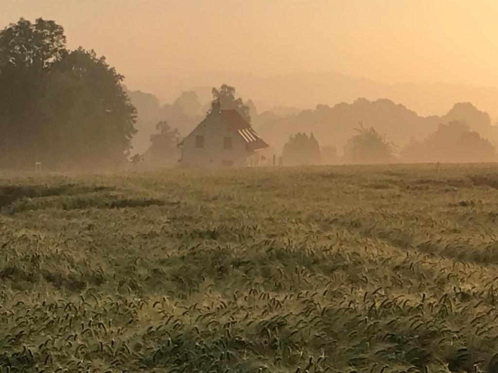 Kompas Gite Ellezelles Zewnętrze zdjęcie